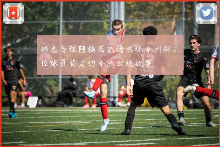 姆总与琼阿梅尼孔德共观非洲杯三位球员背后的非洲血统故事