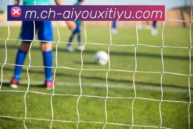 爱游戏体育品牌故事