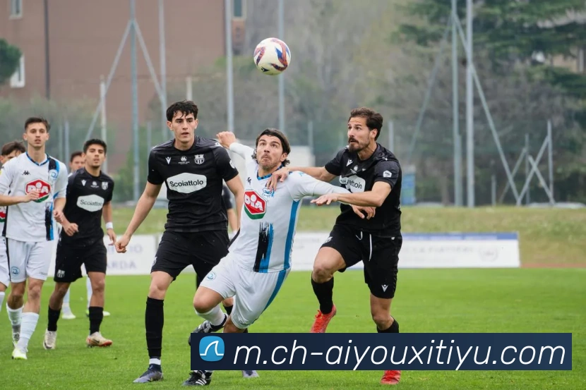 爱游戏体育服务体系