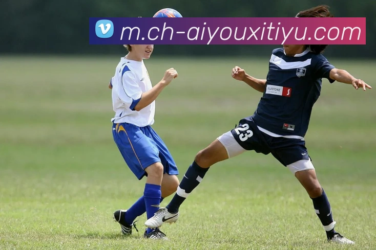 多媒体互动体验