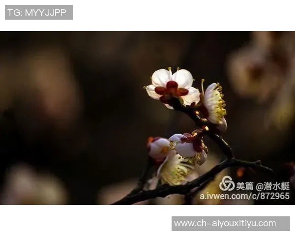 克莱深情命名小船冬梅展现爱的执着与温暖